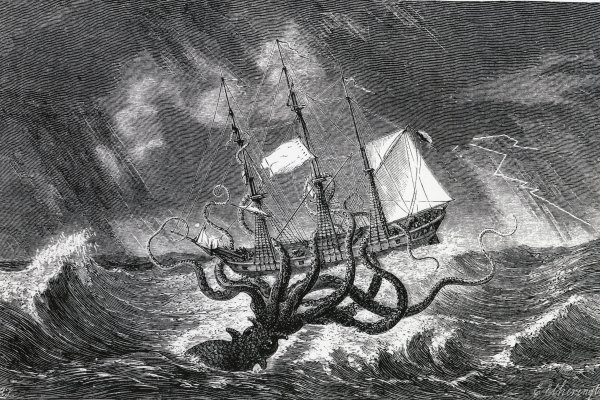 Kraken tor