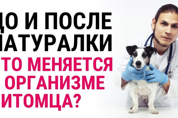 Ссылка на кракен в тор браузере